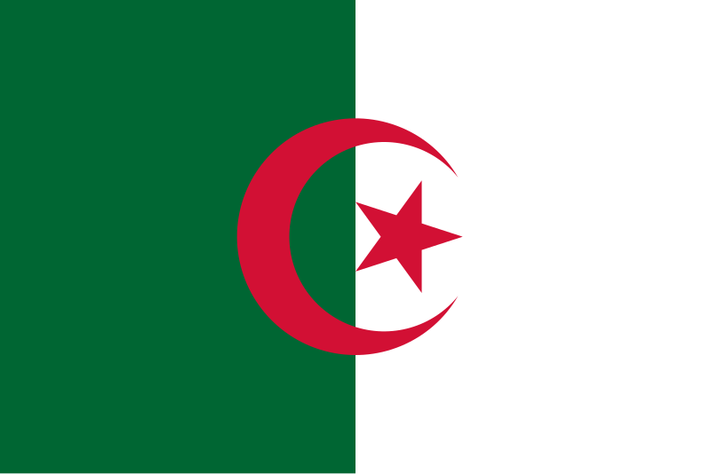 Read more about the article How to Send a Parcel from China to Algeria (complete guide)