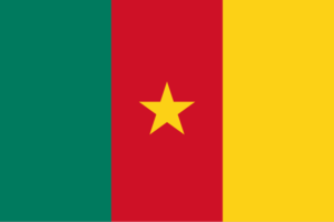 Send a Parcel from China to Cameroon