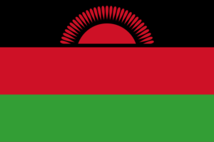 Parcel from China to Malawi