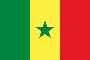 Parcel From China To Senegal