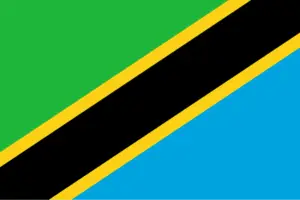 Parcel from China to Tanzania